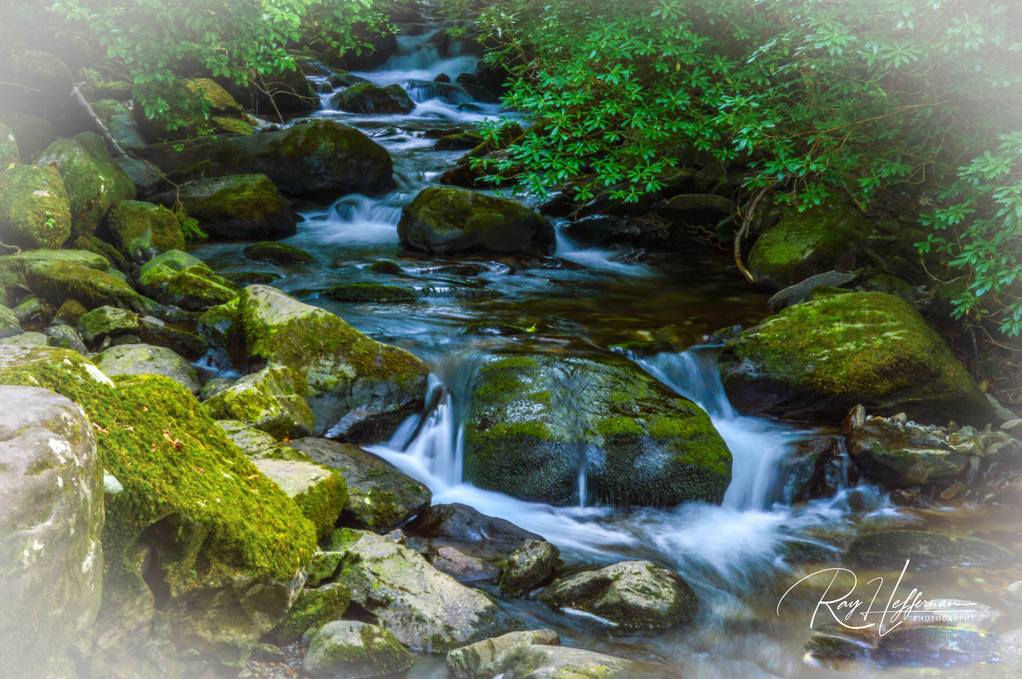 Art-Prints - photo