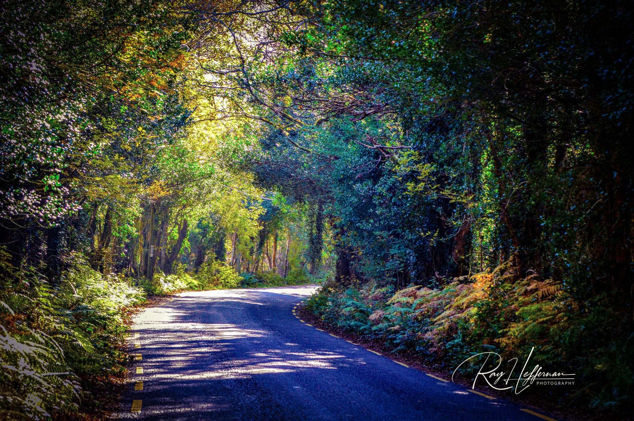 Art-Prints - photo
