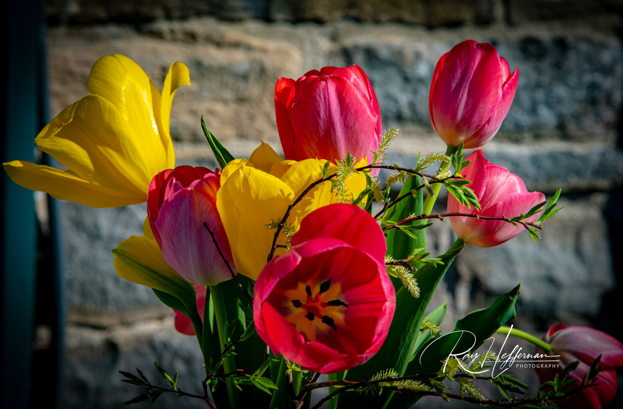Art-Prints - photo