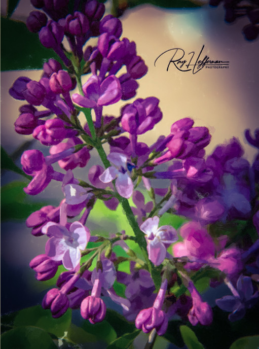 Art-Prints - photo