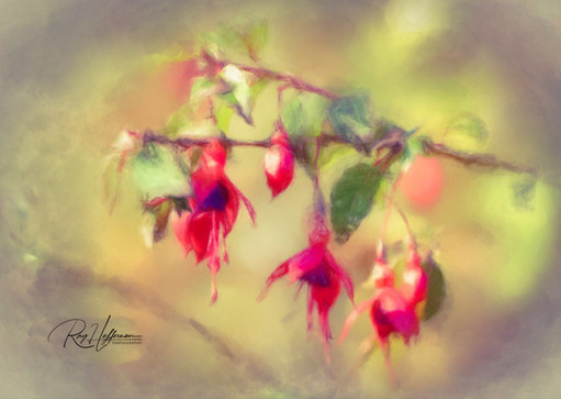 Art-Prints - photo